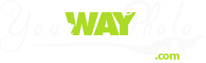 Your Way Photo